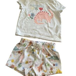 Dinosaur Print Outfit Set